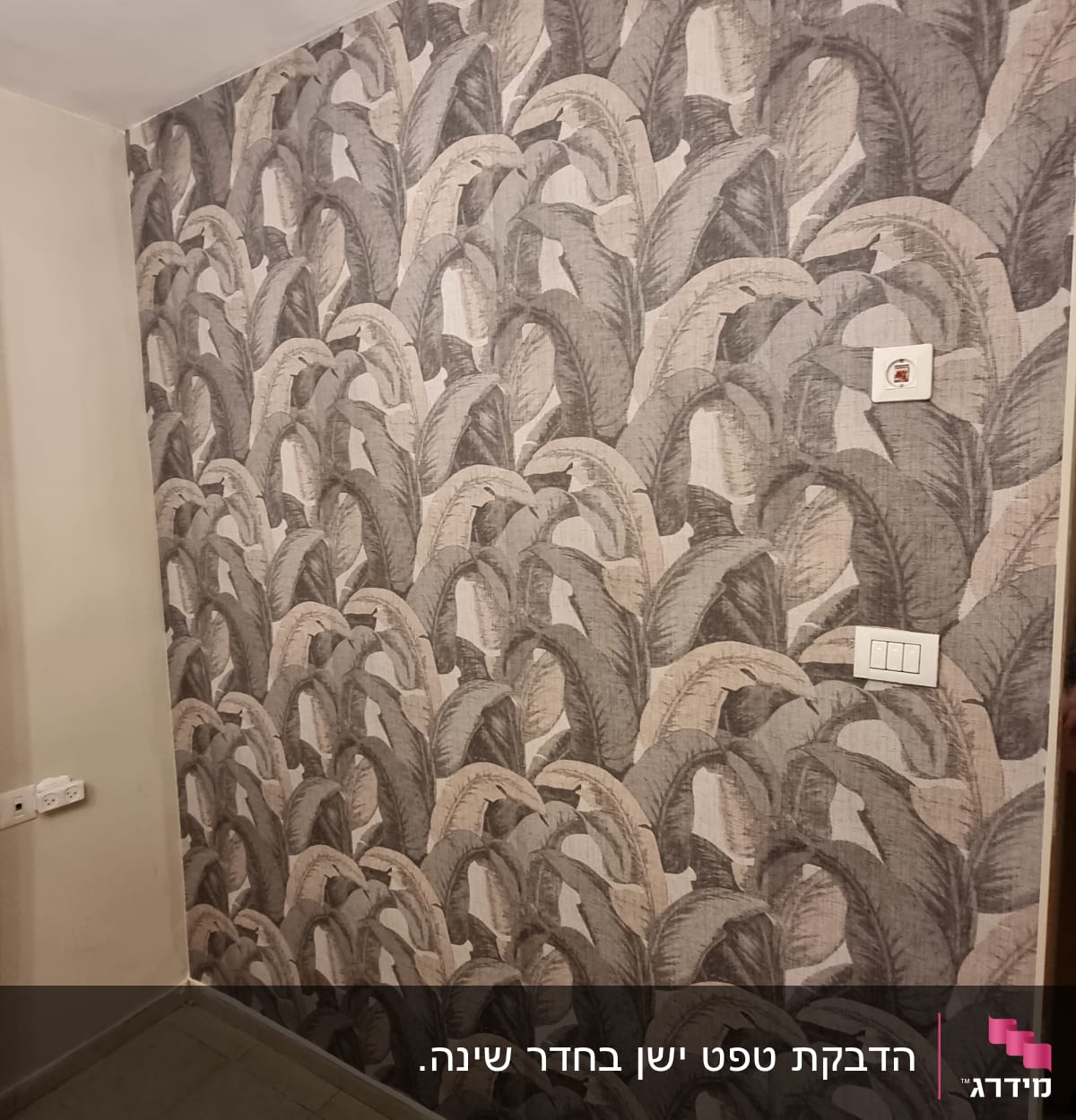 טפט עלים בגווני אפור על קיר